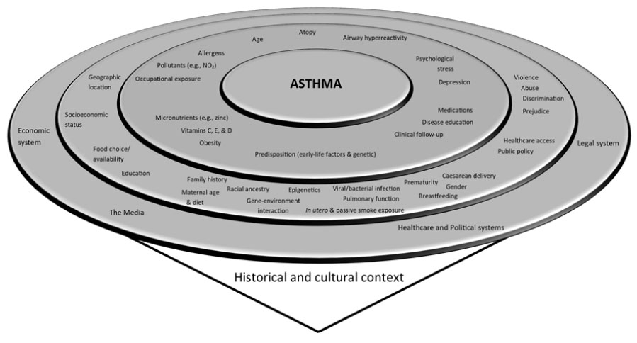 determinants-of-asthma-fig-1